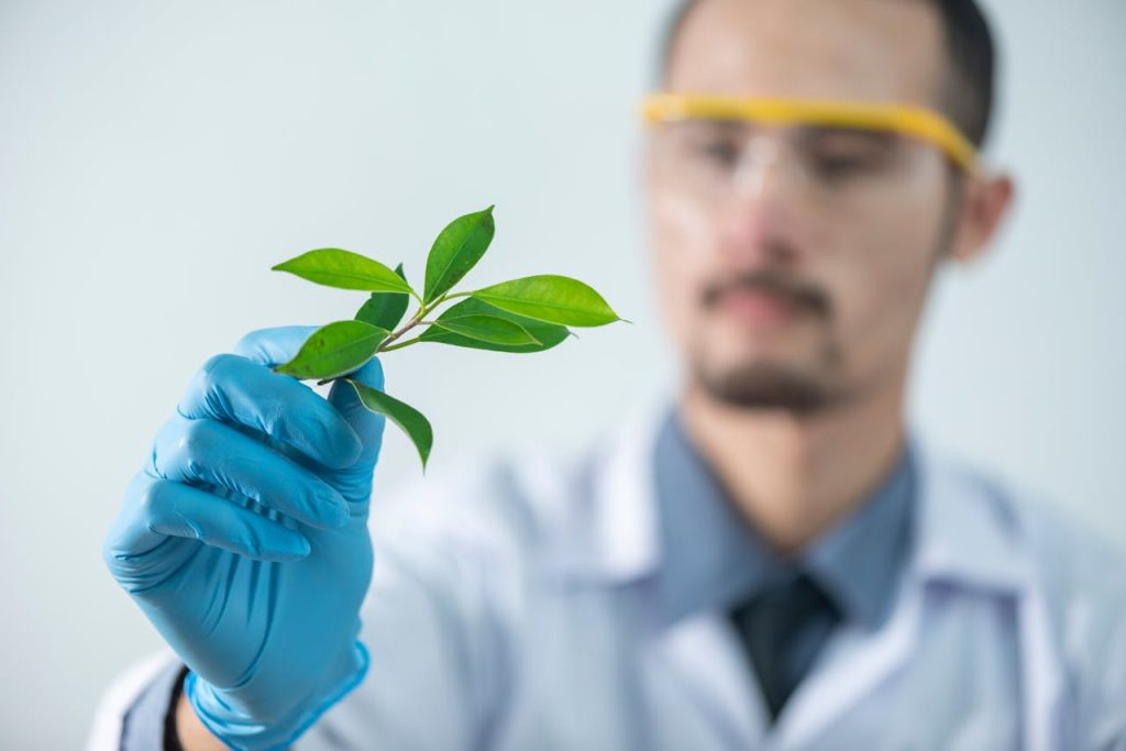 person-holding-green-leafed-plant-2280551 Young scientist wearing protective gloves and examining a plant sample in a laboratory setting.